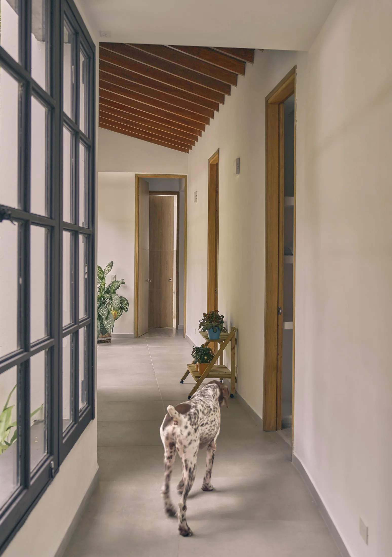 Siria 246 residential project image 9